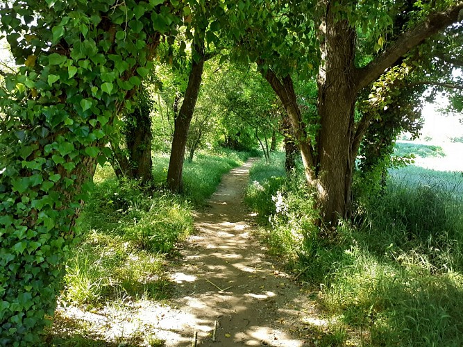 Cyclo Gravel : Des voies vertes au vignoble de Lézan_Anduze