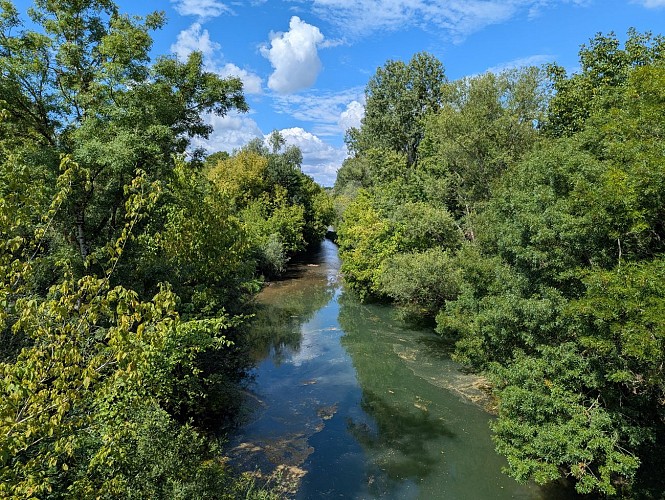 PXL_20250801_095342178