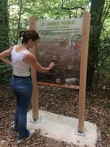 Sentier d'interprétation Bois du Bruel