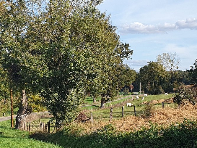 Ain leisure cycling loop: Dunes and bocage