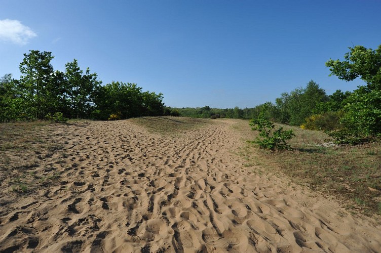 Ain recreatieve fietslus: Duinen en bocage
