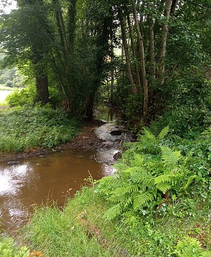 Via Sancti Martini - Étape Mesples-Préveranges_Mesples