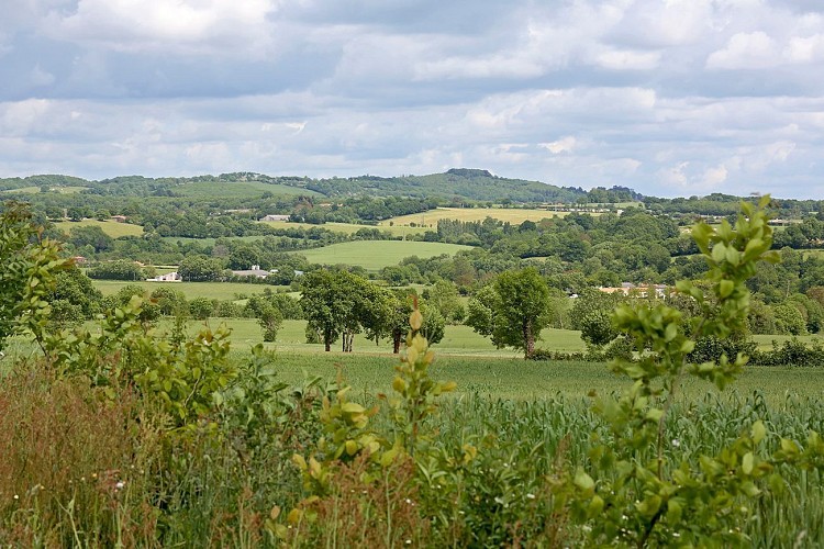 Point de vue