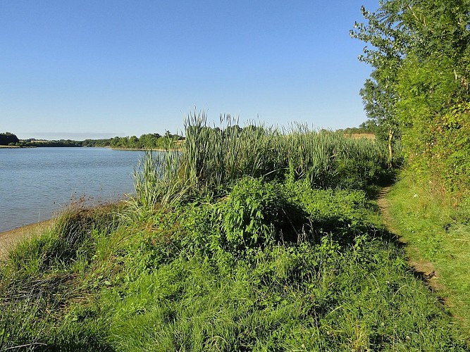 Berge du lac de Rochereau