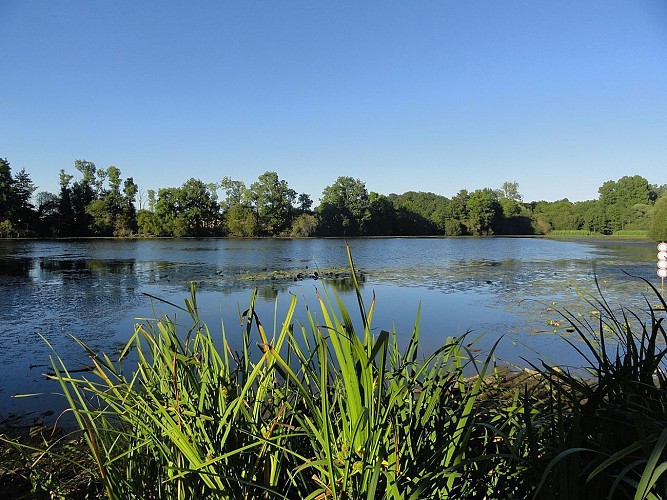 Etang des Landes