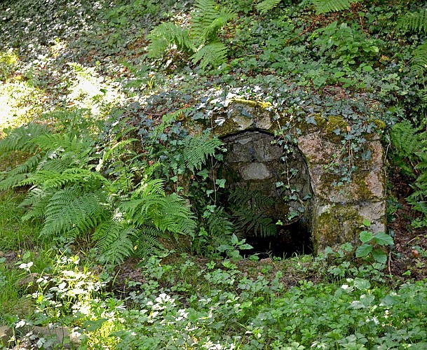 Source de la Lambretière