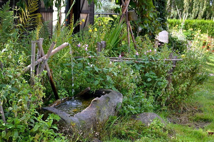 Source de la Bessonnière