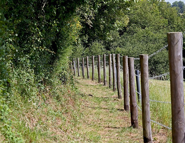 Sentier de la Bessonnière aux Justices