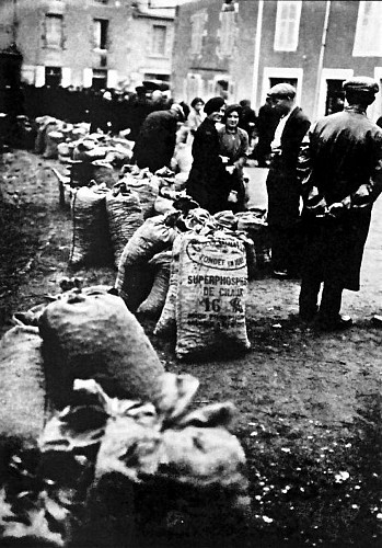 Foire aux marrons en 1950