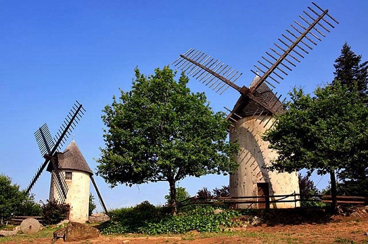 Moulins à vent jumeaux du Terrier Marteau