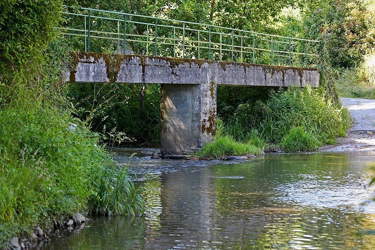 Passerelle de la Planche sur le Grand Lay