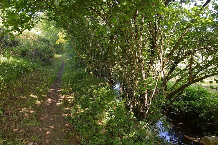 Chemin du Pont à l'Âne
