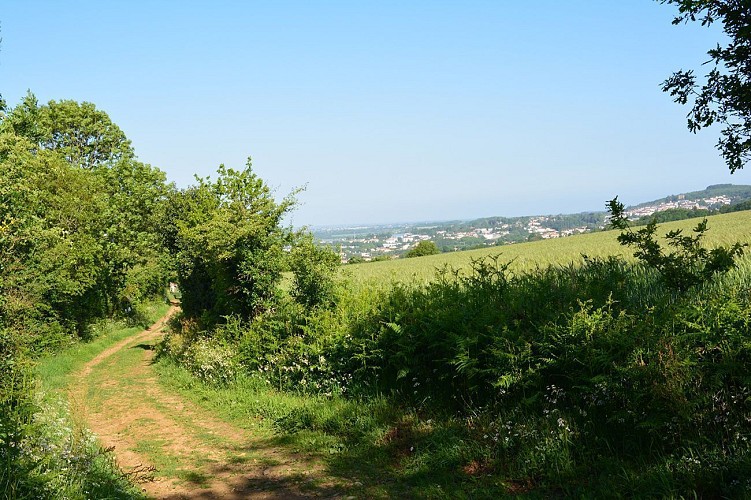 Panorama sur Pouzauges