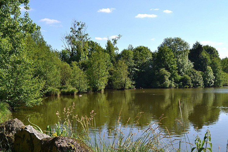 Etang du Coudreau