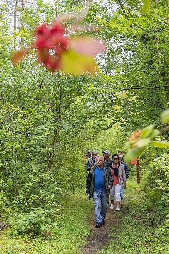 Sentier de découverte de la Vallée du Terrouin