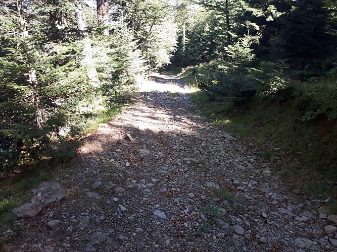 Descente_issarbe_VTT (5)