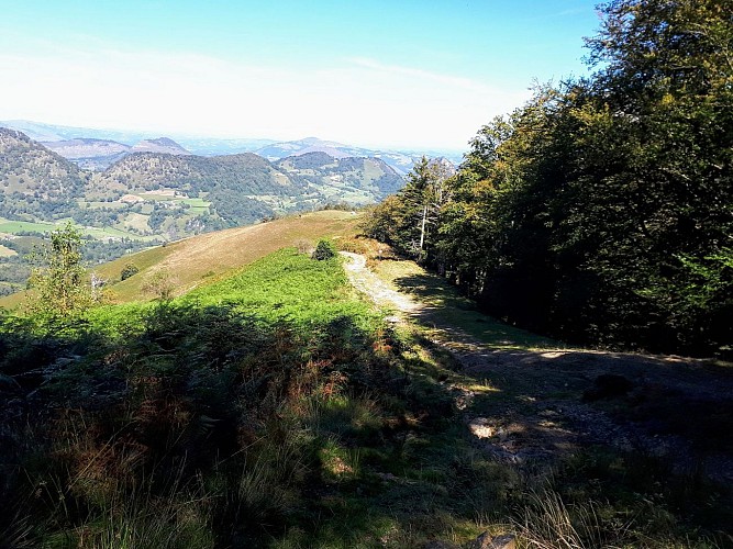 Descente_issarbe_VTT (8)