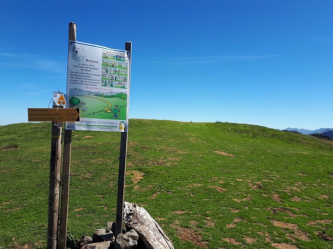 Descente_issarbe_VTT (3)