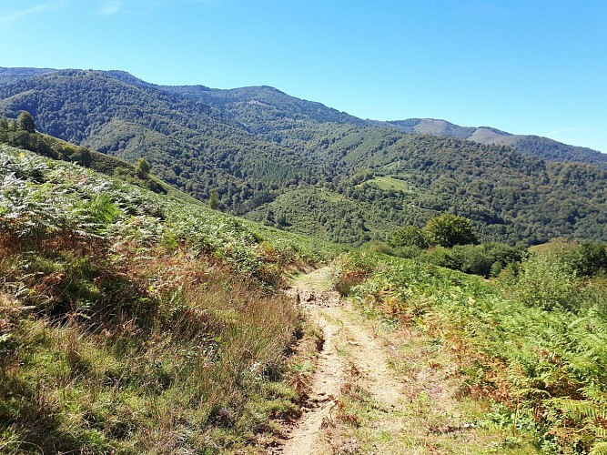 VTT N°15 - Descente d'Issarbe