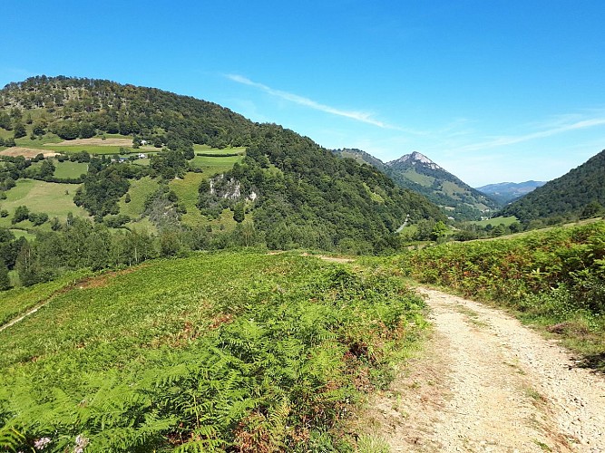 Descente_issarbe_VTT (12)