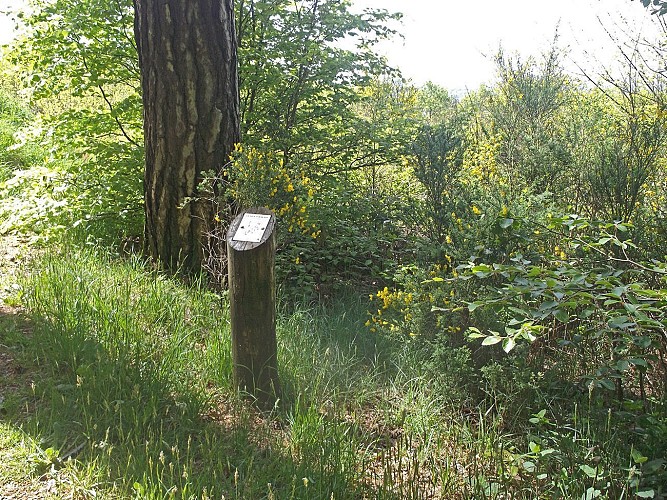 Borne sur le sentier Nature