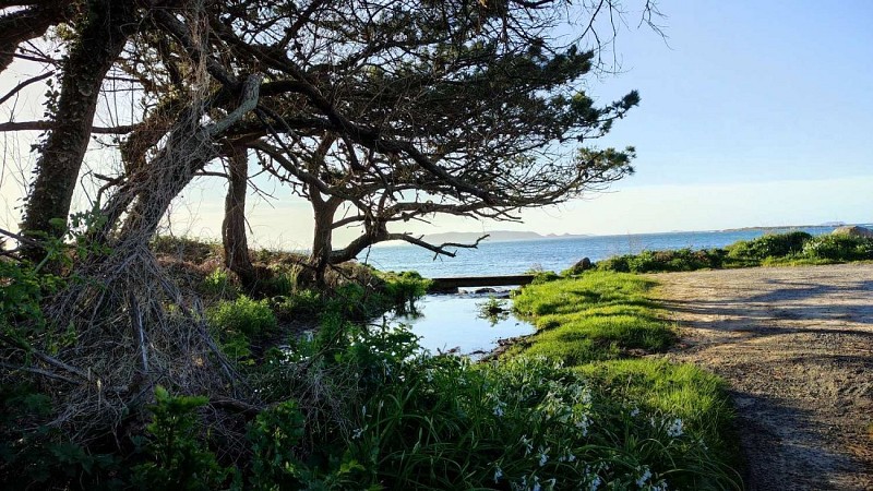 Arrivée sur le GR®34 - Trestel