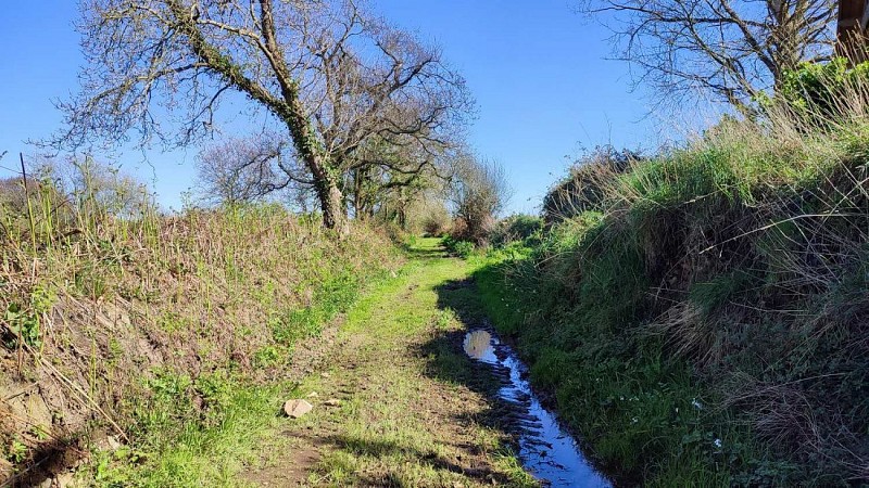 Chemin d'exploitation agricole