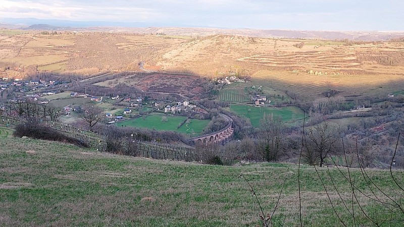 Vignes et bois autour de Cassagnes