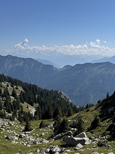 Randonnée pédestre : Boucle de la Petite Sambuy par le Pas de l'Ours_Faverges-Seythenex