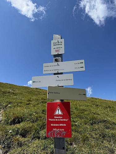 Randonnée pédestre : Boucle de la Petite Sambuy par le Pas de l'Ours_Faverges-Seythenex