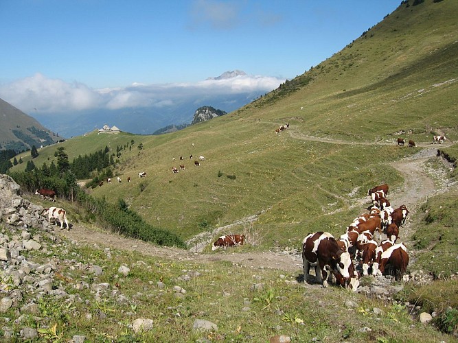 Round trip to the Aulp de Seythenex