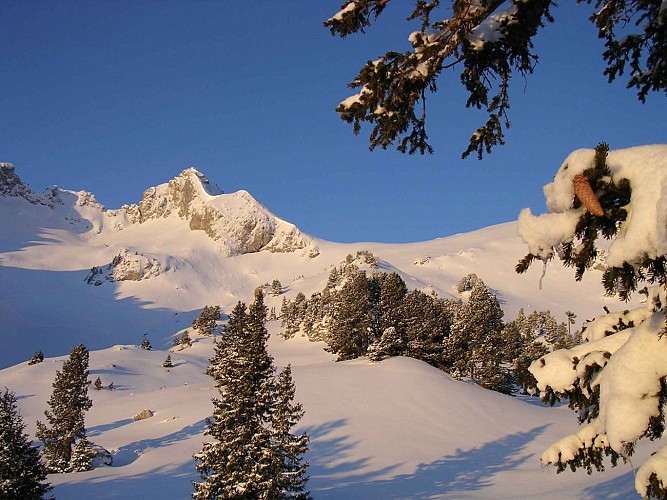 Randonnée pédestre : Aller-retour Aulp de Seythenex_Faverges-Seythenex
