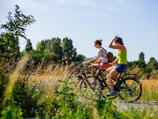 Vélos sud-gironde