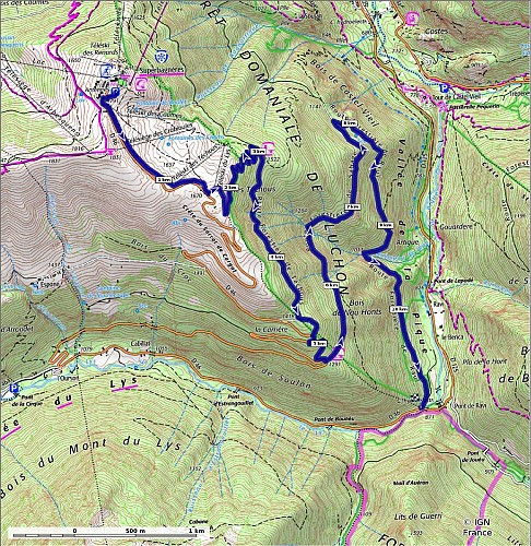 PL14-Carte