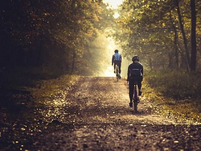 VTT