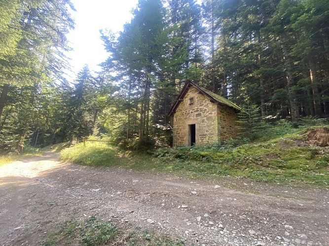 Forêt domaniale de Mende