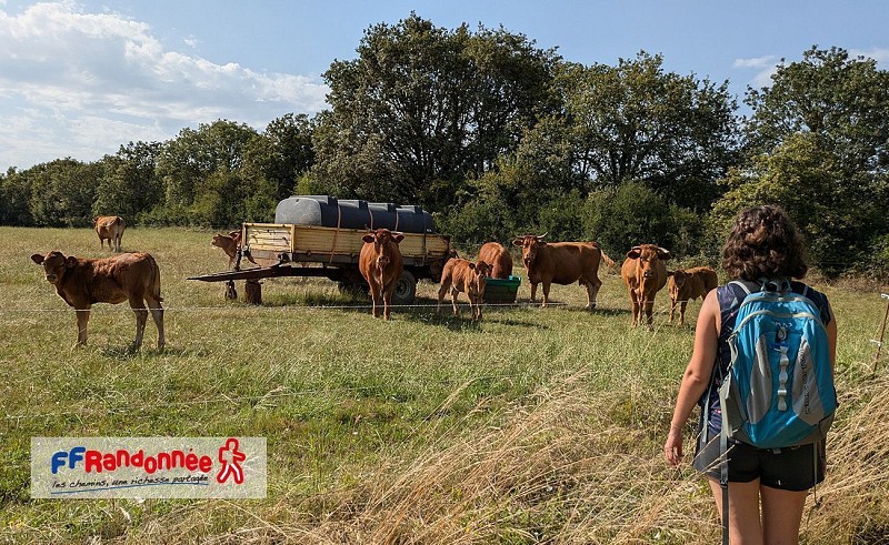 En chemin sur le chemin sur le Causse