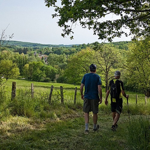 Chemin autour de Salles-Courbatiès