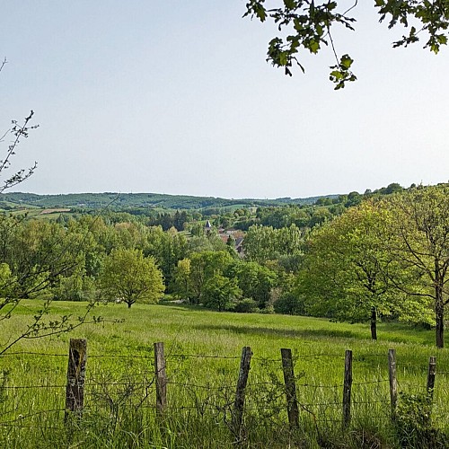 Chemin autour de Salles-Courbatiès
