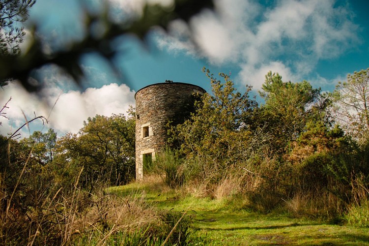 ST-JACUT-LES-PINS - La Butte Des Moulins_madoline bauthamy (13)