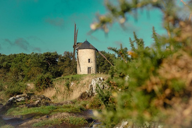 ST-JACUT-LES-PINS - La Butte Des Moulins_madoline bauthamy (54)