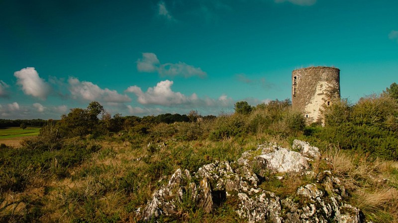 ST-JACUT-LES-PINS - La Butte Des Moulins_madoline bauthamy (27)