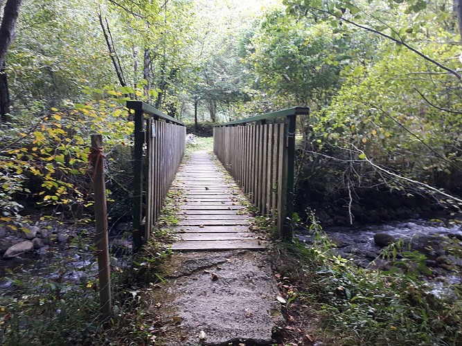 Chemin de La transhumance_VTT (19)