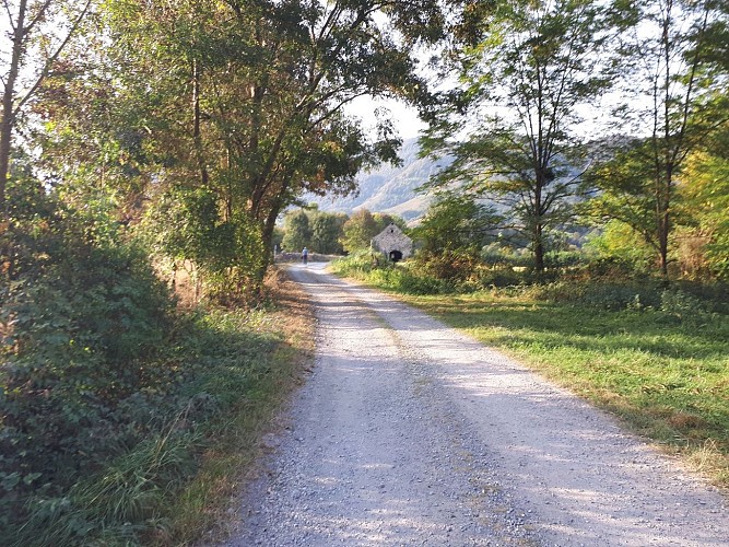 Chemin de La transhumance_VTT (5)