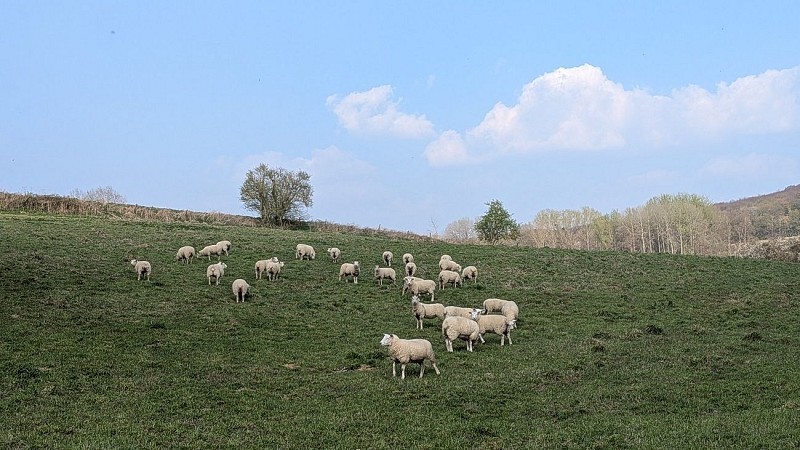 Hauteurs de Braye-en-Laonnois I