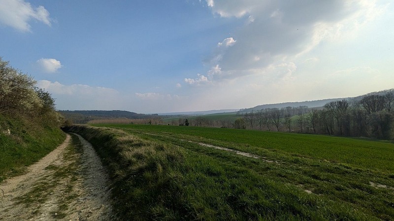 Hauteurs de Braye-en-Laonnois IV
