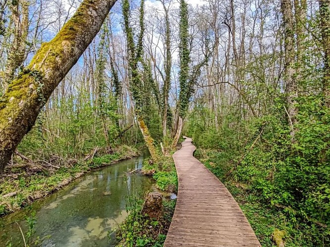 Le Marais des Bidonnes et Canal de Crans