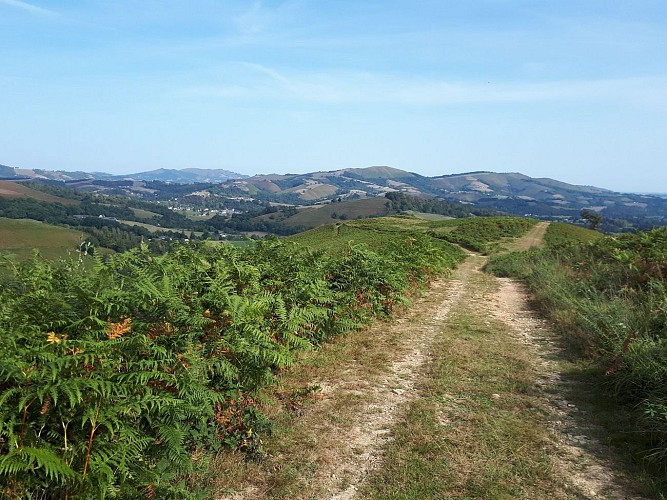 VTT N°16 - Le Tremey