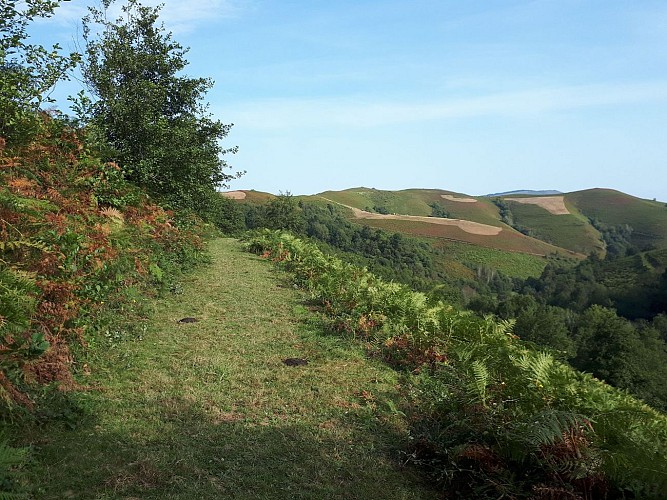 VTT N°16 - Le Tremey