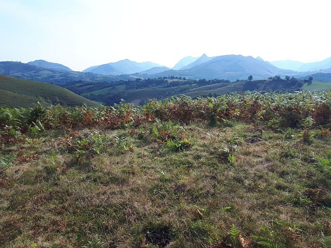 VTT N°16 - Le Tremey